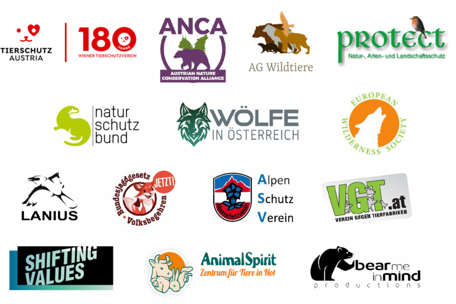 Logos der NGO's